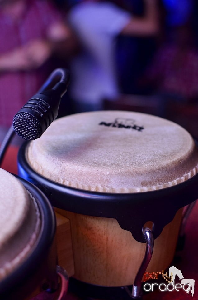 Feel the Beat în Club Escape!, 