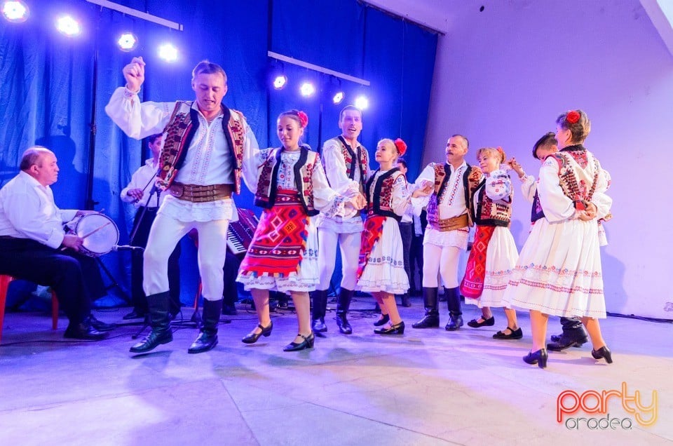 Festival în Parcul Bălcescu, Oradea
