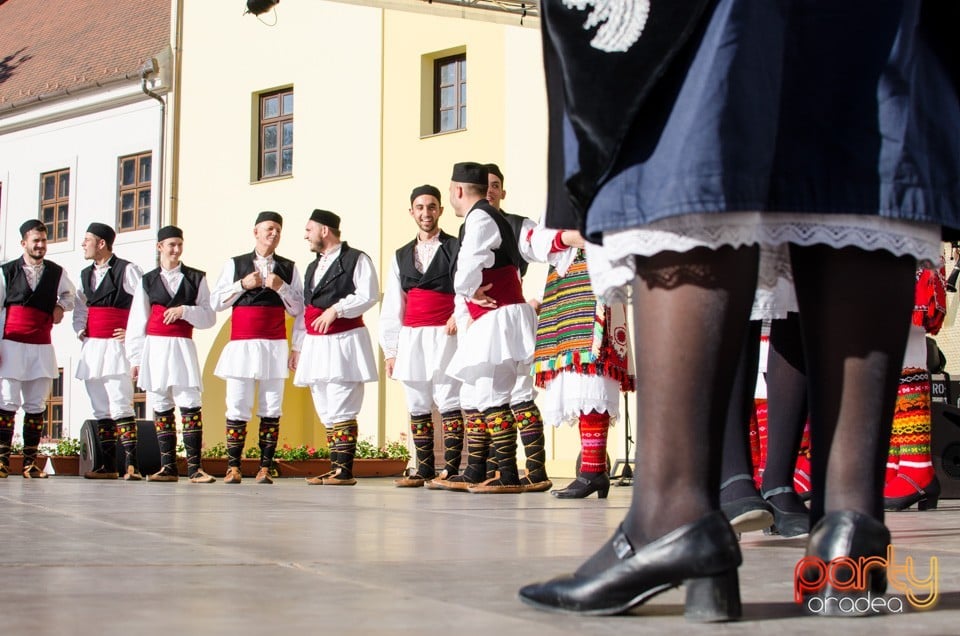 Festival International de Folclor, Cetatea Oradea