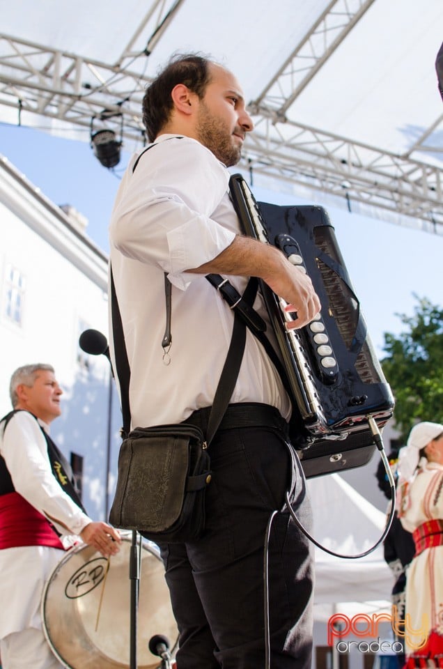 Festival International de Folclor, Cetatea Oradea
