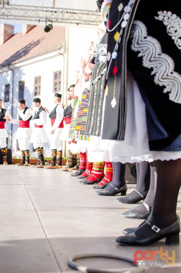 Festival International de Folclor, Cetatea Oradea
