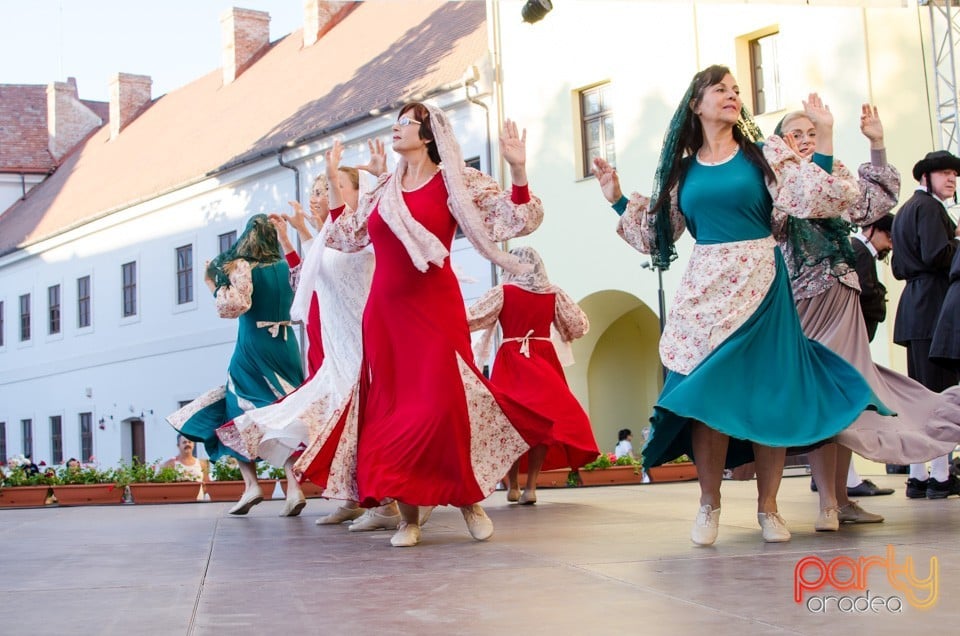 Festival International de Folclor, Cetatea Oradea
