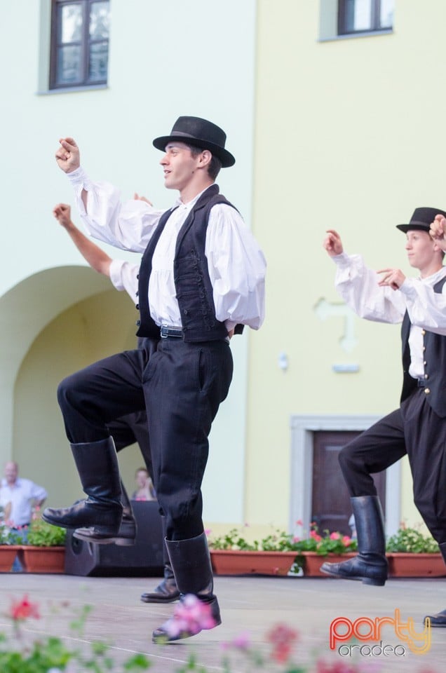 Festival International de Folclor, Cetatea Oradea