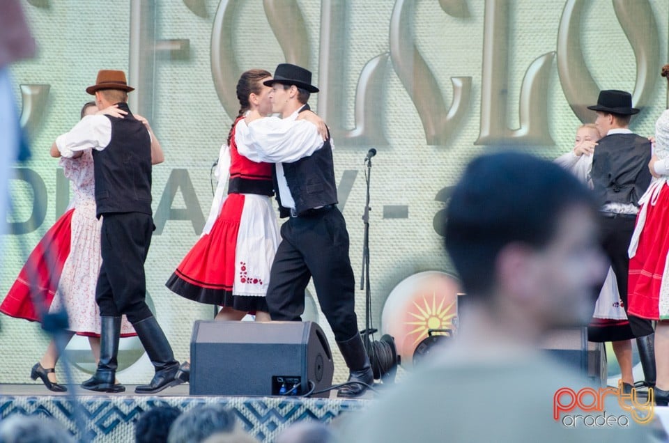 Festival International de Folclor, Cetatea Oradea