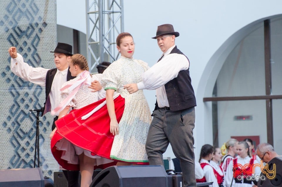 Festival International de Folclor, Cetatea Oradea