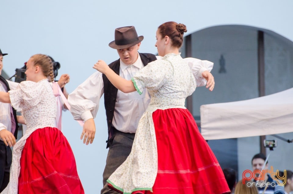 Festival International de Folclor, Cetatea Oradea