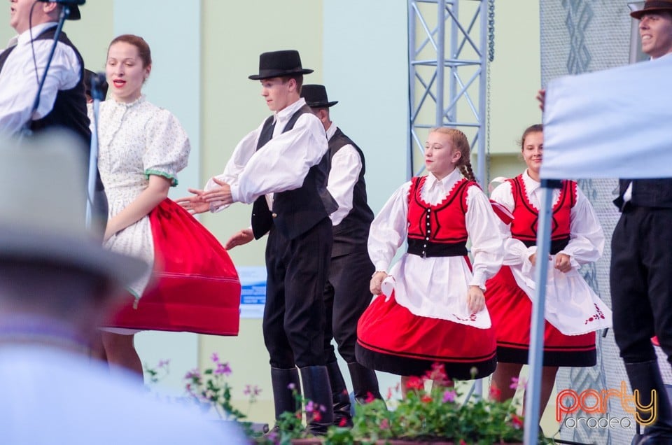 Festival International de Folclor, Cetatea Oradea