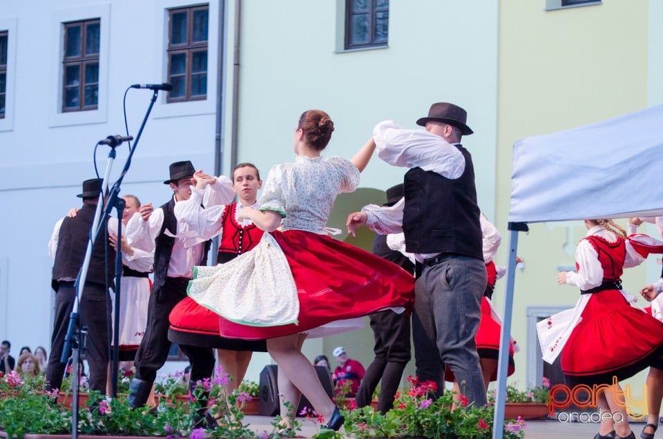Festival International de Folclor, Cetatea Oradea