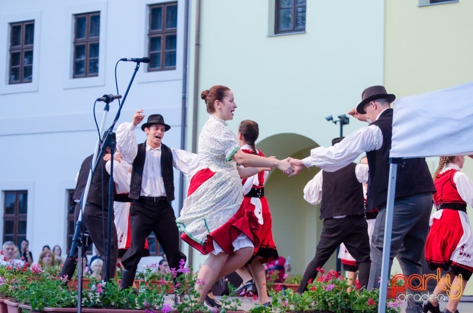Festival International de Folclor, Cetatea Oradea