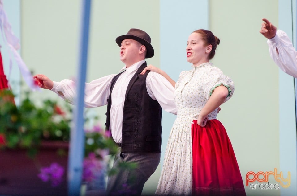 Festival International de Folclor, Cetatea Oradea