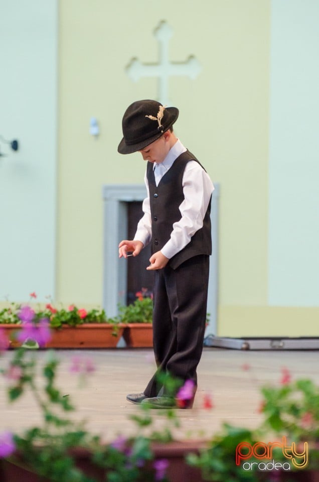 Festival International de Folclor, Cetatea Oradea