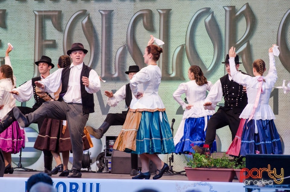 Festival International de Folclor, Cetatea Oradea