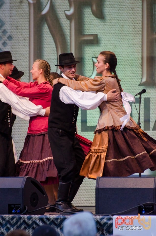 Festival International de Folclor, Cetatea Oradea
