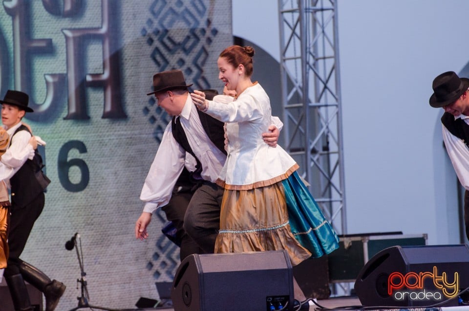 Festival International de Folclor, Cetatea Oradea