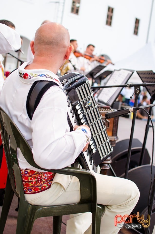 Festival International de Folclor, Cetatea Oradea