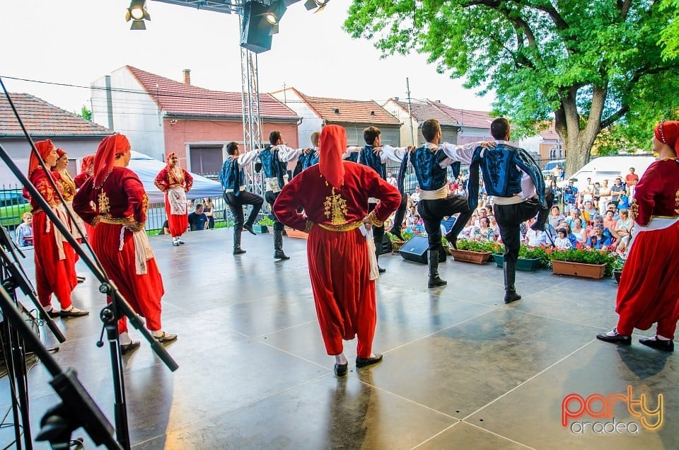 Festival internaţional de folclor, Oradea