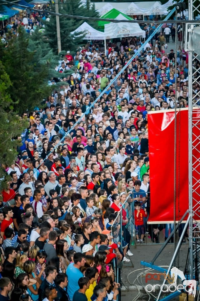 Festivalul