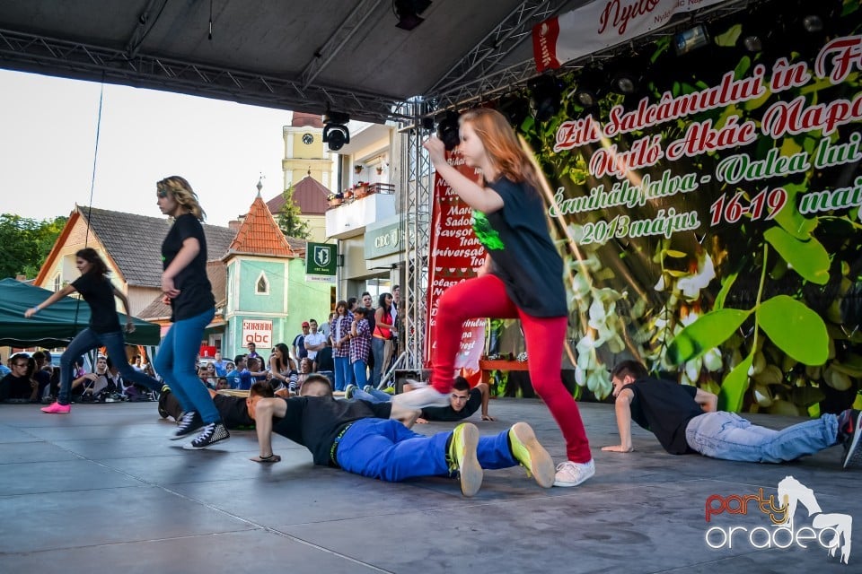 Festivalul