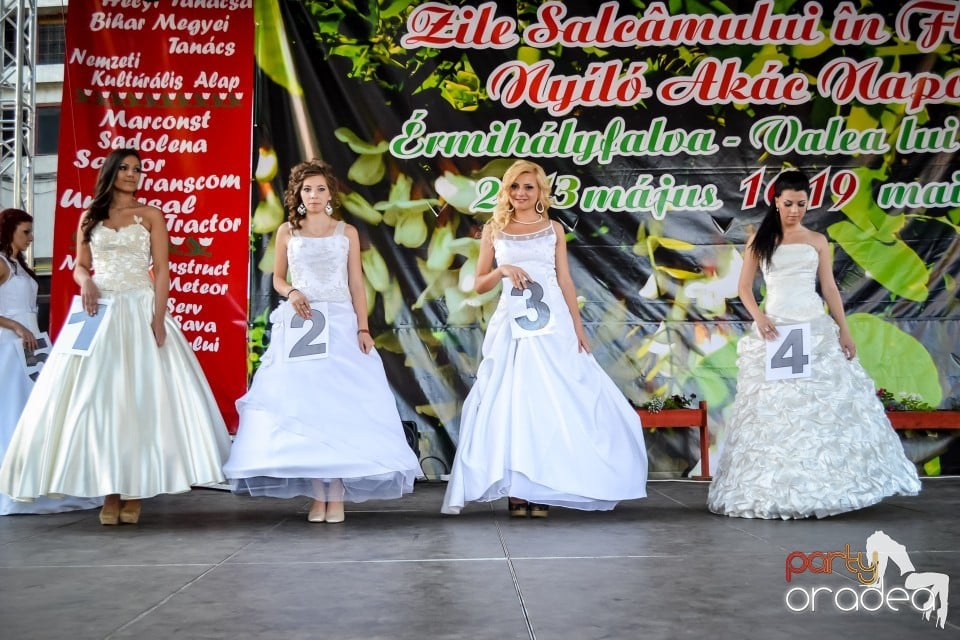 Festivalul