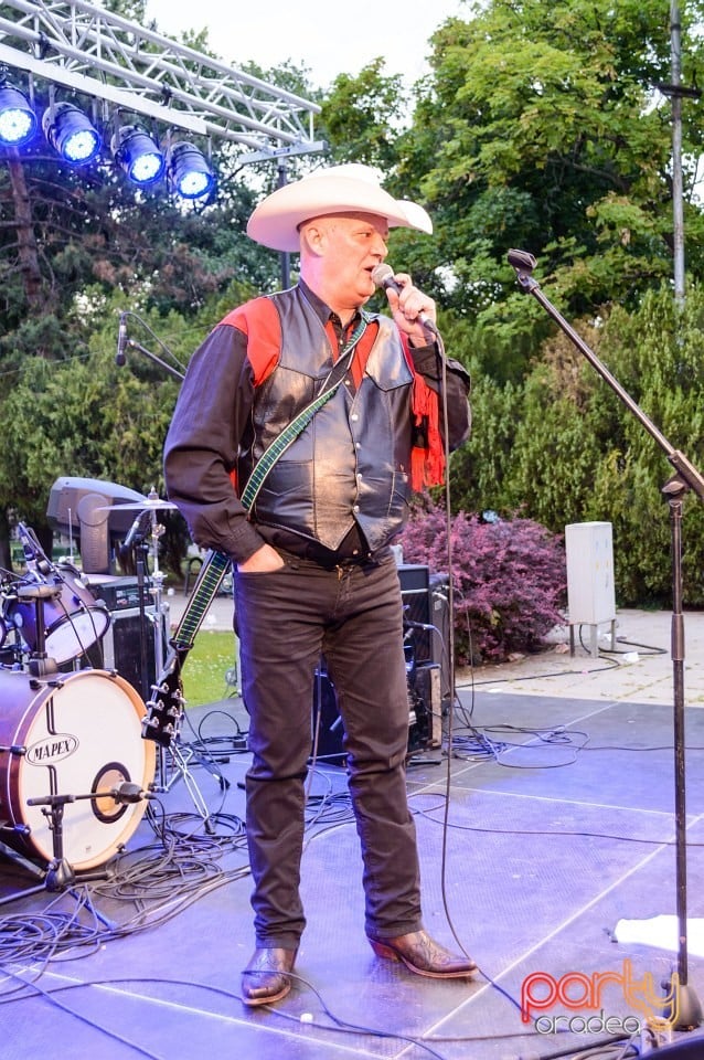 Festivalul luminii, Oradea