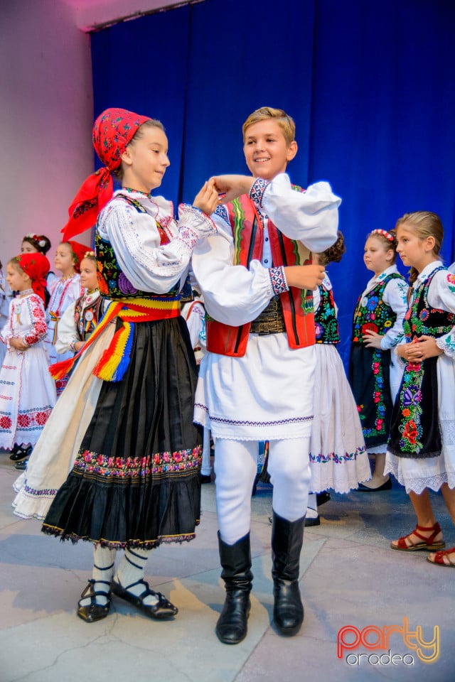 Festivalul Mustului, Oradea