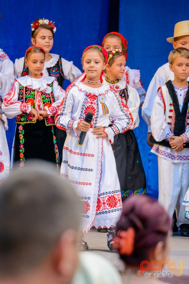 Festivalul Mustului, Oradea