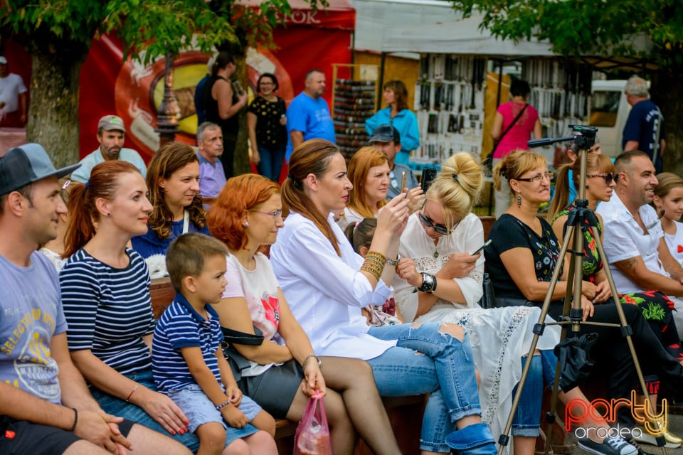 Festivalul Mustului, Oradea