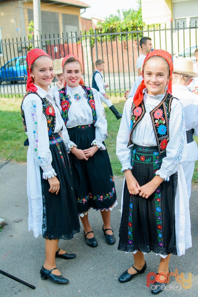 Festivalul Mustului, Oradea