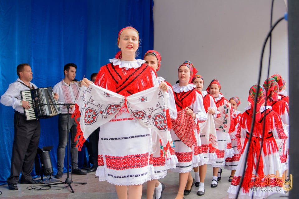 Festivalul Mustului, Oradea