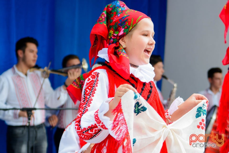 Festivalul Mustului, Oradea