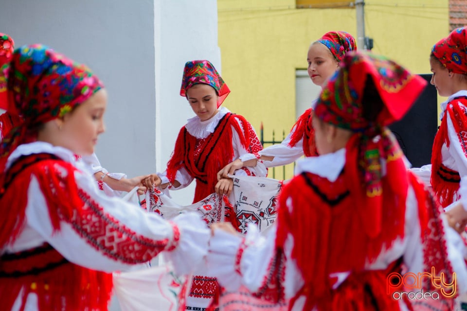 Festivalul Mustului, Oradea