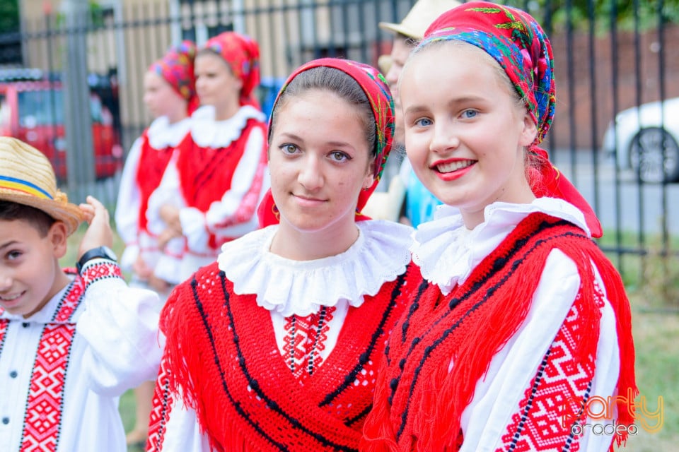Festivalul Mustului, Oradea
