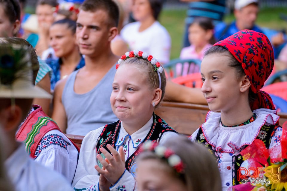 Festivalul Mustului, Oradea