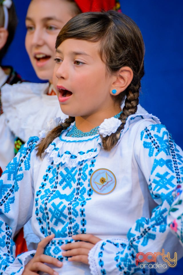 Festivalul Mustului, Oradea