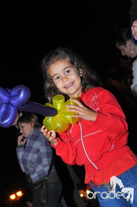 Festivalul vinului şi Târgul pălincarilor - ziua 2,