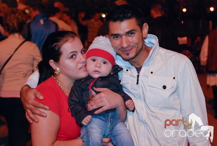 Festivalul vinului şi Târgul pălincarilor,