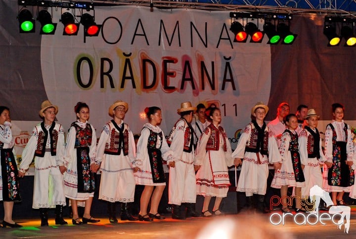 Festivalul vinului şi Târgul pălincarilor,
