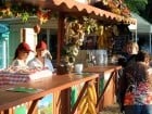 Festivalul vinului şi Târgul pălincarilor