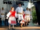 Festivalul vinului şi Târgul pălincarilor