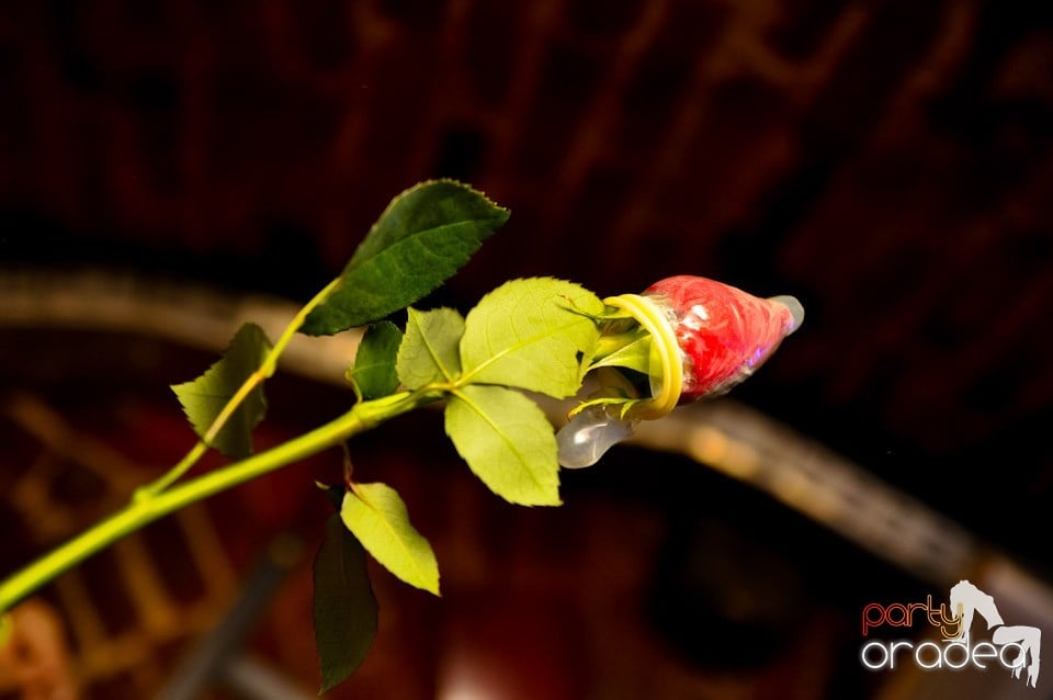 Friday Night Fever în Escape, 