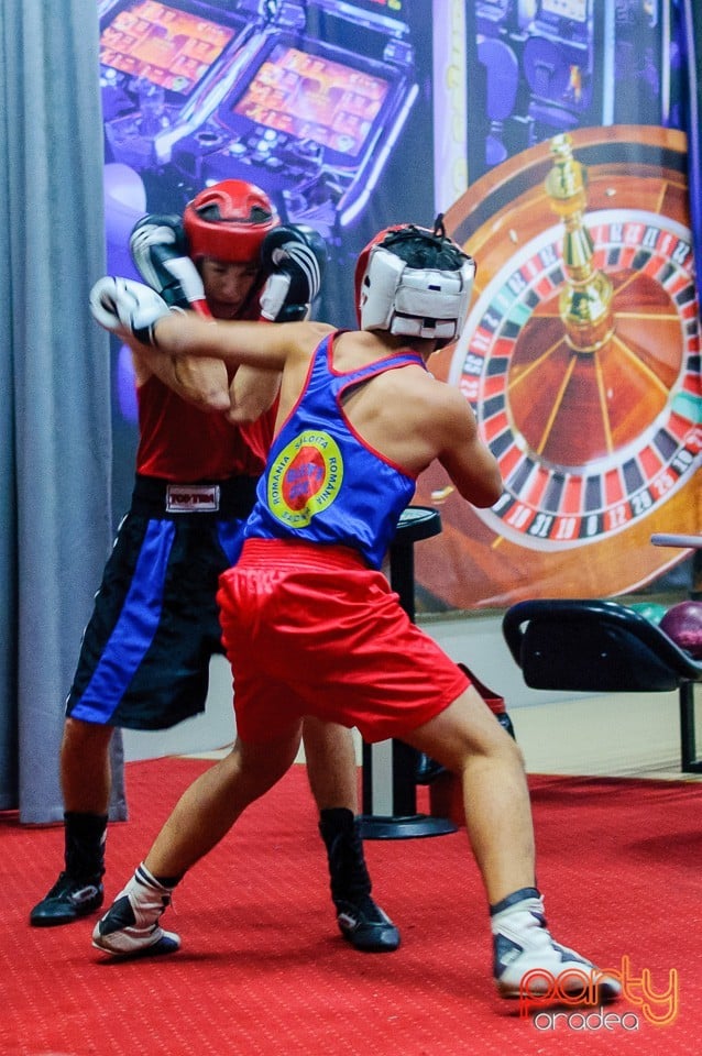 Gală de Box Demonstrativă, 