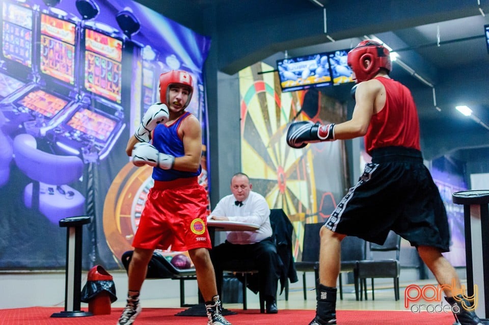 Gală de Box Demonstrativă, 