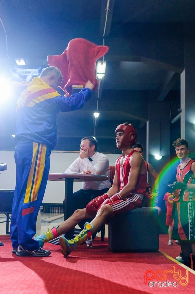 Gală de Box Demonstrativă, 