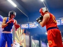 Gală de Box Demonstrativă