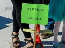 Grădina de Hârtie Reciclată