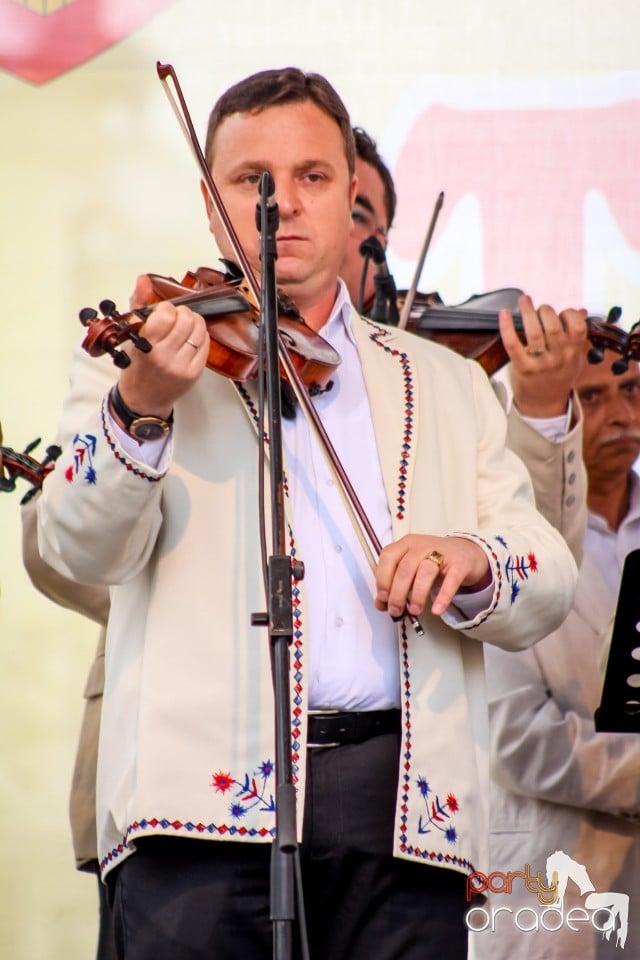 Joc si cantec fara frontiere, Oradea