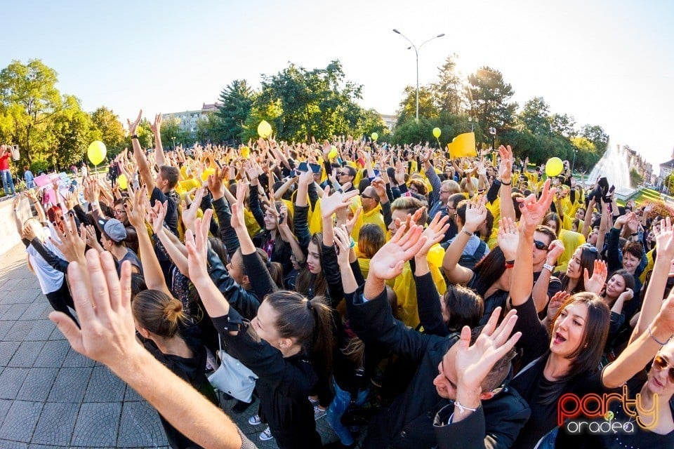 Aleg să zâmbesc! - cel mai mare Smiley uman din România, Oradea