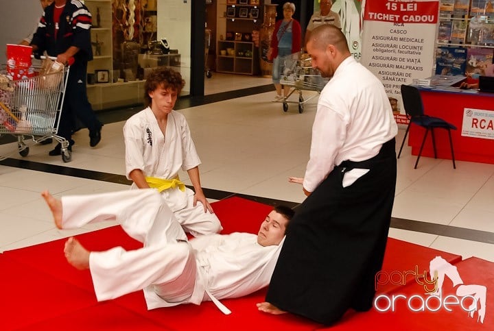 Lecţie de Aikido în Era Shopping Park, Era Shopping Park
