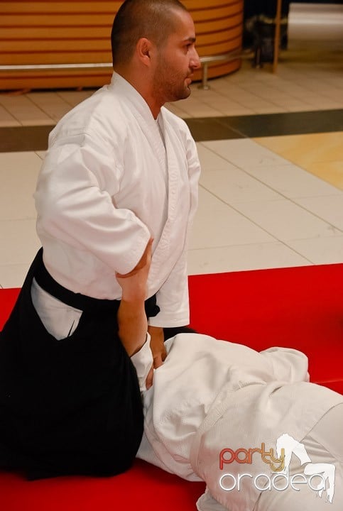 Lecţie de Aikido în Era Shopping Park, Era Shopping Park