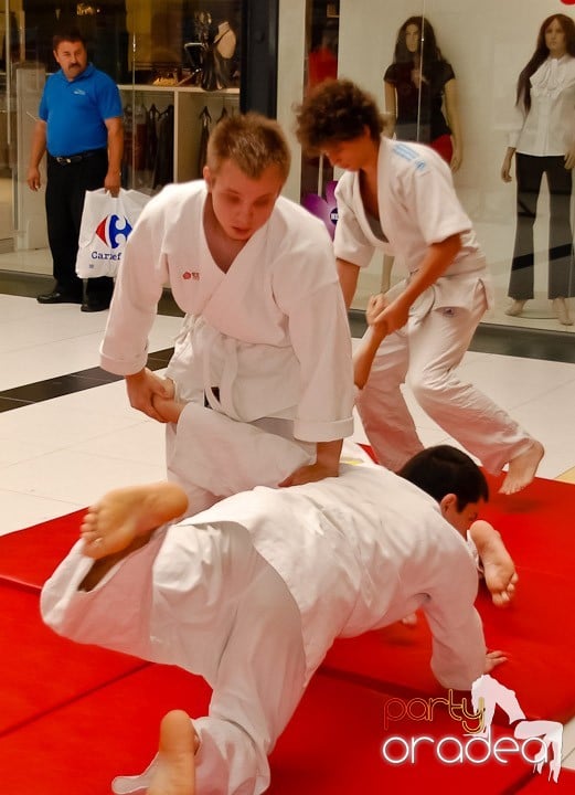Lecţie de Aikido în Era Shopping Park, Era Shopping Park